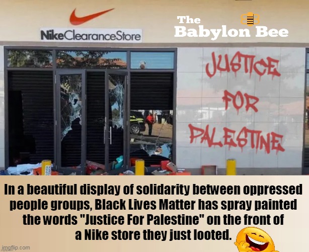 When the Insanity From The Left is Interpreted by The Bee, It's Impossible to Tell if it's Truth or Satire! | In a beautiful display of solidarity between oppressed 

people groups, Black Lives Matter has spray painted 

the words "Justice For Palestine" on the front of 

a Nike store they just looted. | image tagged in politics,liberals vs conservatives,liberal logic,liberal hypocrisy,blm,insanity | made w/ Imgflip meme maker
