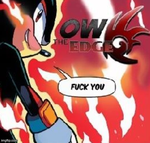 shadow says fuck you | image tagged in shadow says fuck you | made w/ Imgflip meme maker
