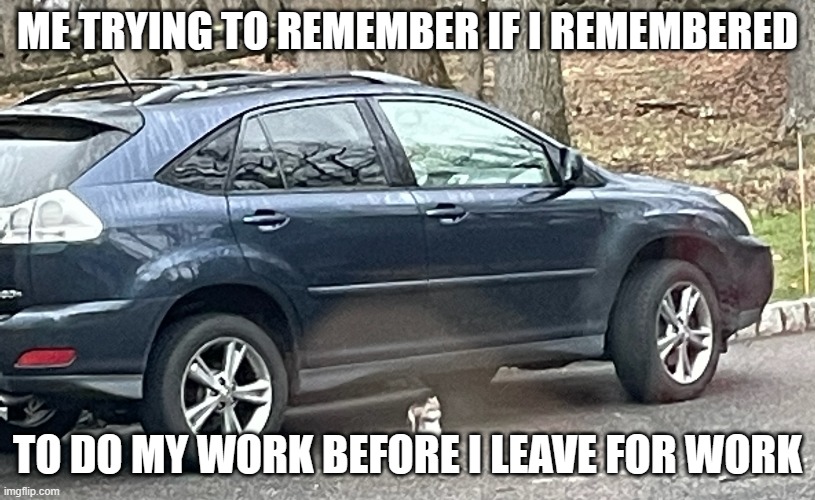 I can't remember work | ME TRYING TO REMEMBER IF I REMEMBERED; TO DO MY WORK BEFORE I LEAVE FOR WORK | image tagged in deep thoughts squirrel | made w/ Imgflip meme maker