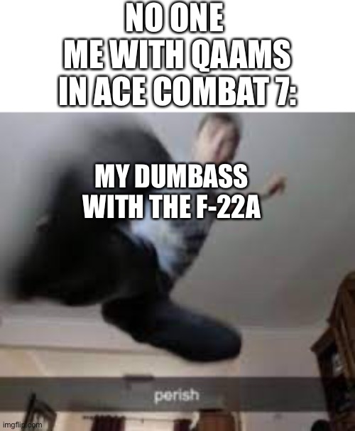 The missile knows where it is and where it isn’t thus it knows where you are | NO ONE 
ME WITH QAAMS IN ACE COMBAT 7:; MY DUMBASS WITH THE F-22A | image tagged in perish kick,gaming,ps4,ace combat,ace combat 7,fighter jet | made w/ Imgflip meme maker