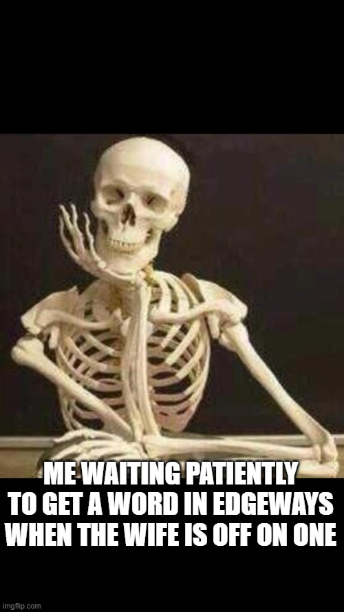 skeleton waiting | ME WAITING PATIENTLY TO GET A WORD IN EDGEWAYS WHEN THE WIFE IS OFF ON ONE | image tagged in skeleton waiting | made w/ Imgflip meme maker