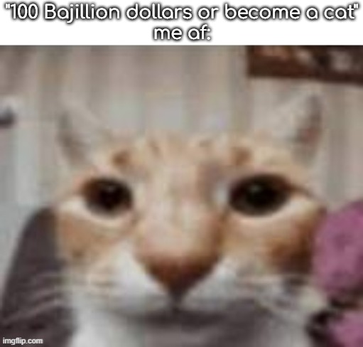 meow :3 | "100 Bajillion dollars or become a cat"
me af: | made w/ Imgflip meme maker