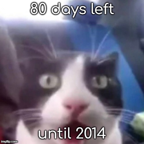 80 days left until 2014 | 80 days left; until 2014 | image tagged in cat shocked | made w/ Imgflip meme maker