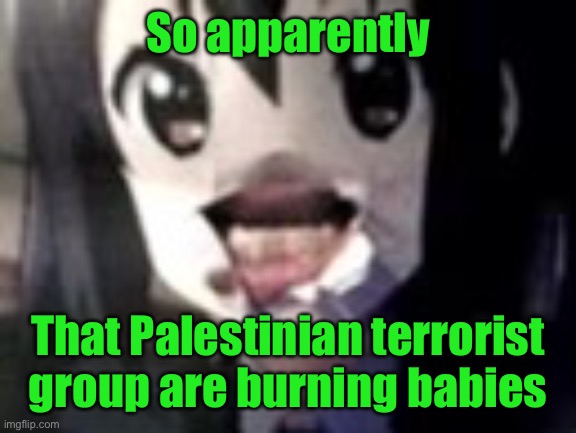 guh | So apparently; That Palestinian terrorist group are burning babies | image tagged in guh | made w/ Imgflip meme maker
