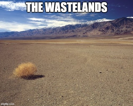 4891.mp3 | THE WASTELANDS | image tagged in desert tumbleweed | made w/ Imgflip meme maker