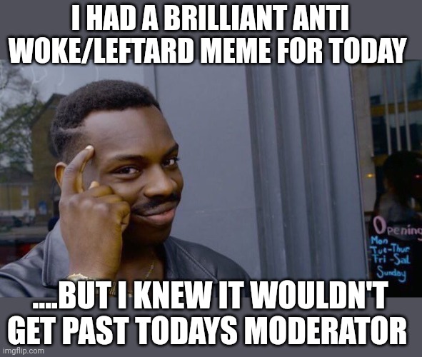 Maybe tomorrow? | I HAD A BRILLIANT ANTI WOKE/LEFTARD MEME FOR TODAY; ....BUT I KNEW IT WOULDN'T GET PAST TODAYS MODERATOR | image tagged in memes,roll safe think about it | made w/ Imgflip meme maker