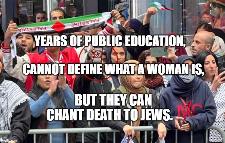 Pro Hamas Protest NYC with Swastika | YEARS OF PUBLIC EDUCATION,                                CANNOT DEFINE WHAT A WOMAN IS, BUT THEY CAN CHANT DEATH TO JEWS. | image tagged in pro hamas protest nyc with swastika | made w/ Imgflip meme maker
