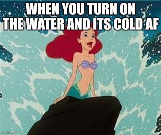 Ariel | WHEN YOU TURN ON THE WATER AND ITS COLD AF | image tagged in ariel | made w/ Imgflip meme maker