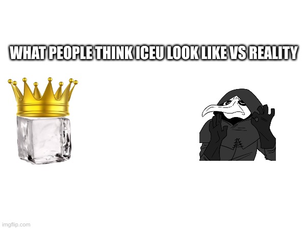 WHAT PEOPLE THINK ICEU LOOK LIKE VS REALITY | made w/ Imgflip meme maker