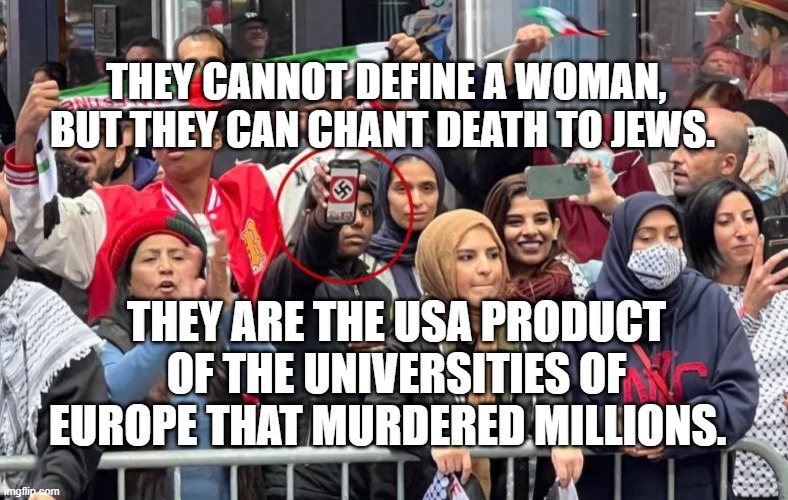 Pro Hamas Protest NYC with Swastika | THEY CANNOT DEFINE A WOMAN, BUT THEY CAN CHANT DEATH TO JEWS. THEY ARE THE USA PRODUCT OF THE UNIVERSITIES OF EUROPE THAT MURDERED MILLIONS. | image tagged in pro hamas protest nyc with swastika | made w/ Imgflip meme maker