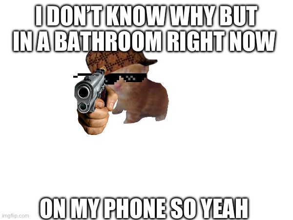 Sometimes I just don’t know | I DON’T KNOW WHY BUT IN A BATHROOM RIGHT NOW; ON MY PHONE SO YEAH | image tagged in idk | made w/ Imgflip meme maker