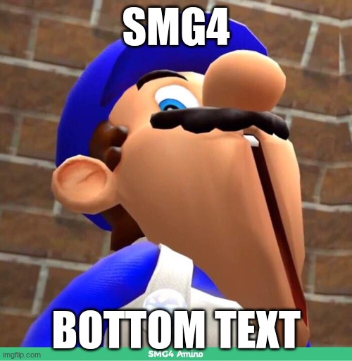 smg4's face | SMG4; BOTTOM TEXT | image tagged in smg4's face,bottom text,squirtle,winnie the pooh,huh,ha ha tags go brr | made w/ Imgflip meme maker