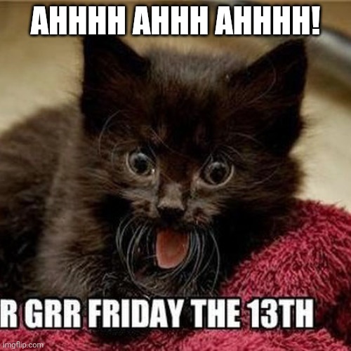 Run for your lives | AHHHH AHHH AHHHH! | image tagged in friday the 13th,spooky month,boo | made w/ Imgflip meme maker