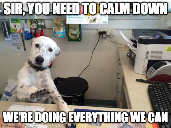 sir you need to calm down we're doing everything we can | SIR, YOU NEED TO CALM DOWN; WE'RE DOING EVERYTHING WE CAN | image tagged in funny office,dog on computer,customer complaints,human resources,big government,evil government | made w/ Imgflip meme maker