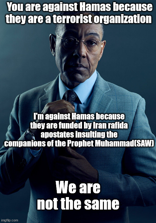 fr | You are against Hamas because they are a terrorist organization; I'm against Hamas because they are funded by Iran rafida apostates insulting the companions of the Prophet Muhammad(SAW); We are not the same | image tagged in gus fring we are not the same | made w/ Imgflip meme maker