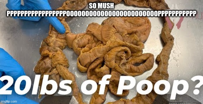 pppppppppppppppppppppooooooooooooooooooooooopppppppppppppppppppppppp | SO MUSH PPPPPPPPPPPPPPPPPOOOOOOOOOOOOOOOOOOOOOOOOPPPPPPPPPPP | image tagged in funny,sus,meme | made w/ Imgflip meme maker