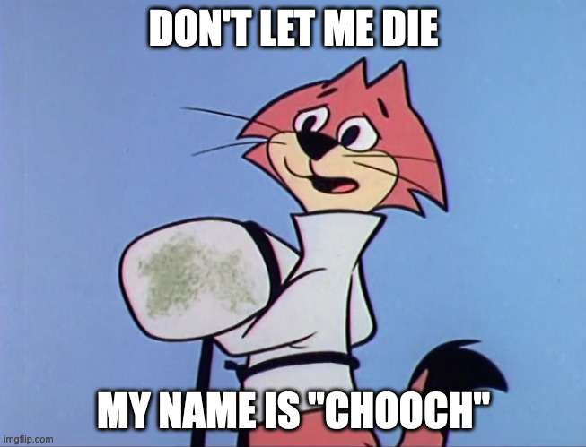 Preach It, Forgotten Sixties Cartoon Cat | DON'T LET ME DIE; MY NAME IS "CHOOCH" | image tagged in don't let chooch die | made w/ Imgflip meme maker