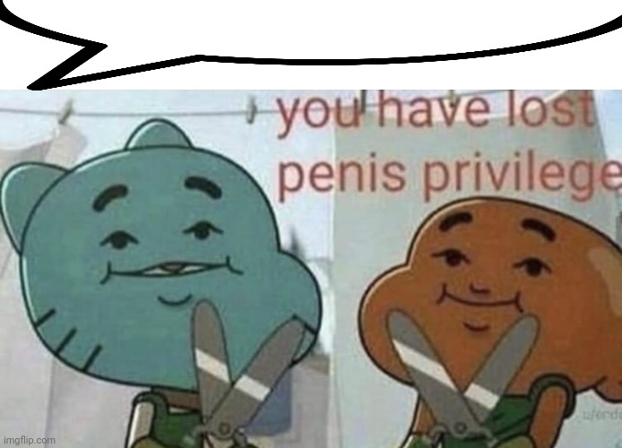 You have lost p*nis privilege. | image tagged in you have lost p nis privilege | made w/ Imgflip meme maker