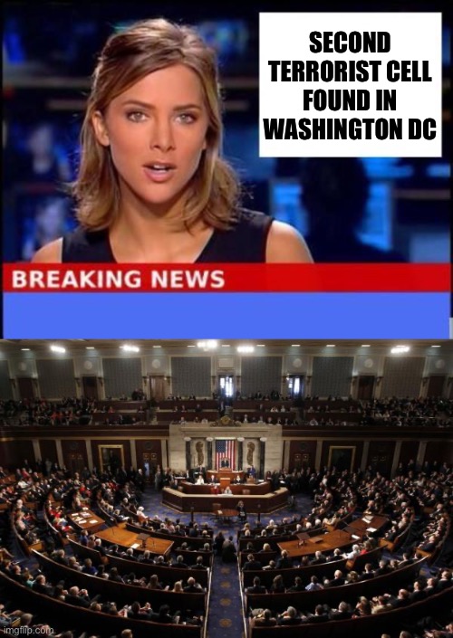 This one is co-dangerous with the first one. | SECOND TERRORIST CELL FOUND IN WASHINGTON DC | image tagged in congress,politics,government corruption,terrorism,puppies and kittens | made w/ Imgflip meme maker