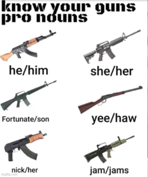 Armas de fuego | image tagged in first world problems,guns,why are you reading the tags | made w/ Imgflip meme maker