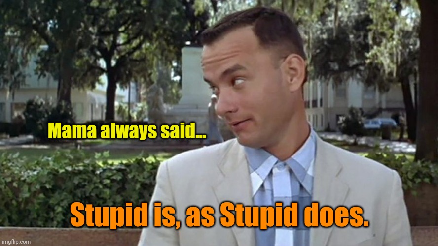 Forrest Gump Face | Mama always said... Stupid is, as Stupid does. | image tagged in forrest gump face | made w/ Imgflip meme maker