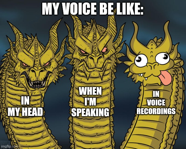 I cringe every time I hear my voice on a recording | MY VOICE BE LIKE:; WHEN I'M SPEAKING; IN VOICE RECORDINGS; IN MY HEAD | image tagged in memes,three-headed dragon,voice | made w/ Imgflip meme maker