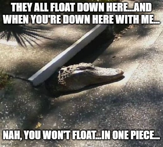 Sewer Gator | THEY ALL FLOAT DOWN HERE...AND WHEN YOU'RE DOWN HERE WITH ME... NAH, YOU WON'T FLOAT...IN ONE PIECE... | image tagged in funny memes | made w/ Imgflip meme maker