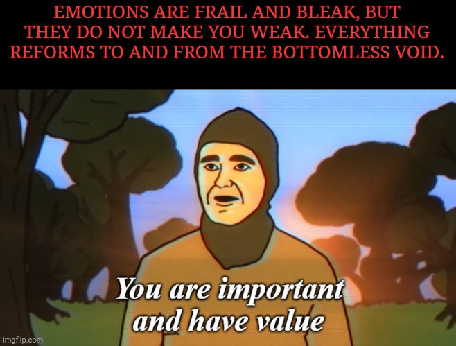 You are important and have value | EMOTIONS ARE FRAIL AND BLEAK, BUT THEY DO NOT MAKE YOU WEAK. EVERYTHING REFORMS TO AND FROM THE BOTTOMLESS VOID. | image tagged in you are important and have value | made w/ Imgflip meme maker