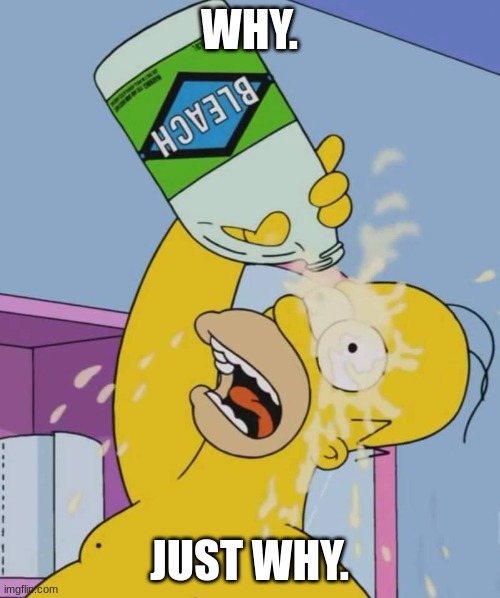 Homer with bleach | WHY. JUST WHY. | image tagged in homer with bleach | made w/ Imgflip meme maker