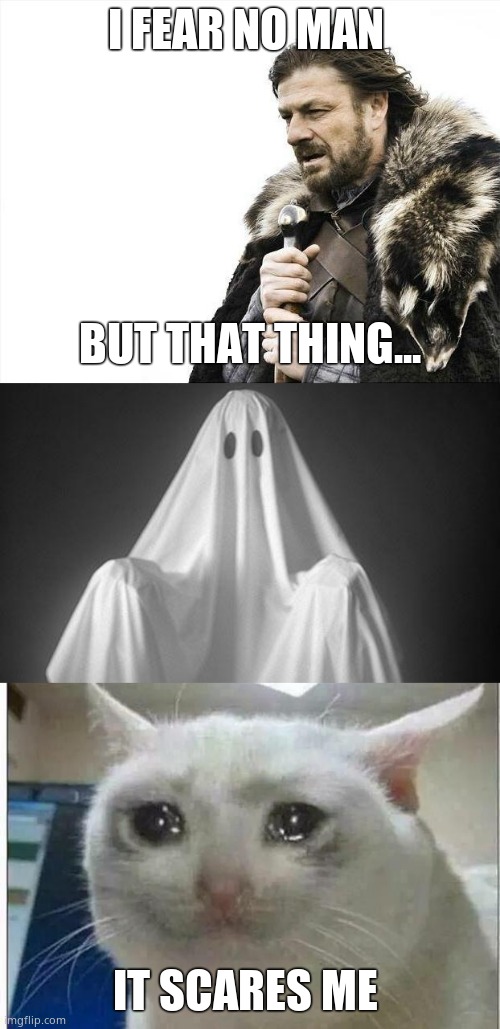 I FEAR NO MAN; BUT THAT THING... IT SCARES ME | image tagged in memes,brace yourselves x is coming,ghost,crying cat | made w/ Imgflip meme maker