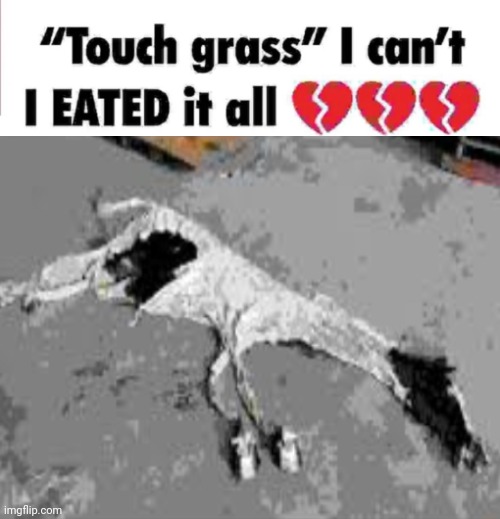 image tagged in touch grass i can t i eated it all | made w/ Imgflip meme maker