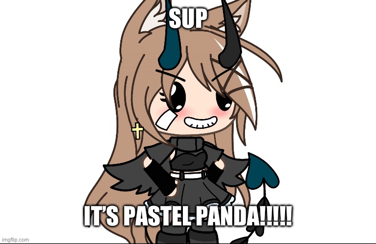 Hehehe?? | SUP; IT’S PASTEL PANDA!!!!! | image tagged in ofc,i,asked,him,first | made w/ Imgflip meme maker