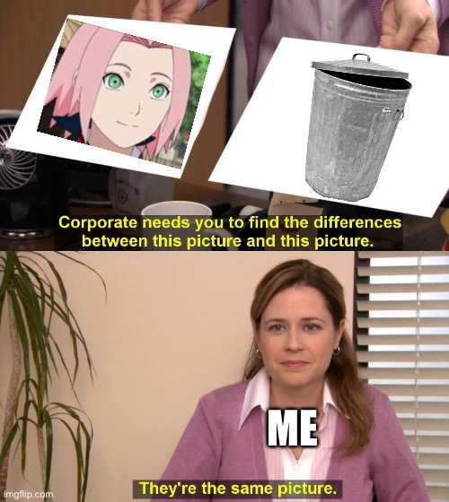I had this opinion since the first time watching Naruto | ME | image tagged in they are the same picture,sakura is a trash can | made w/ Imgflip meme maker