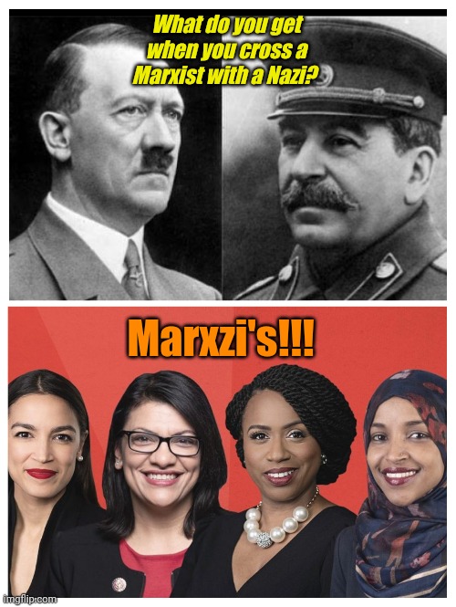 Does explain a lot, though. | What do you get when you cross a Marxist with a Nazi? Marxzi's!!! | made w/ Imgflip meme maker