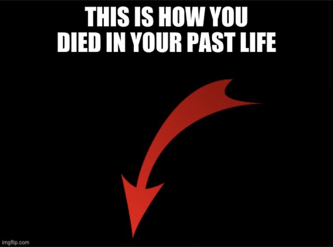 Past life death | image tagged in past life death | made w/ Imgflip meme maker