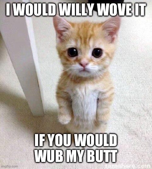 Cute Cat Meme | I WOULD WILLY WOVE IT; IF YOU WOULD WUB MY BUTT | image tagged in memes,cute cat | made w/ Imgflip meme maker