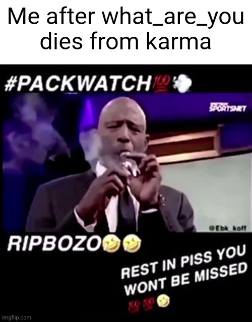 Rest in piss you won't be missed | Me after what_are_you dies from karma | image tagged in rest in piss you won't be missed | made w/ Imgflip meme maker