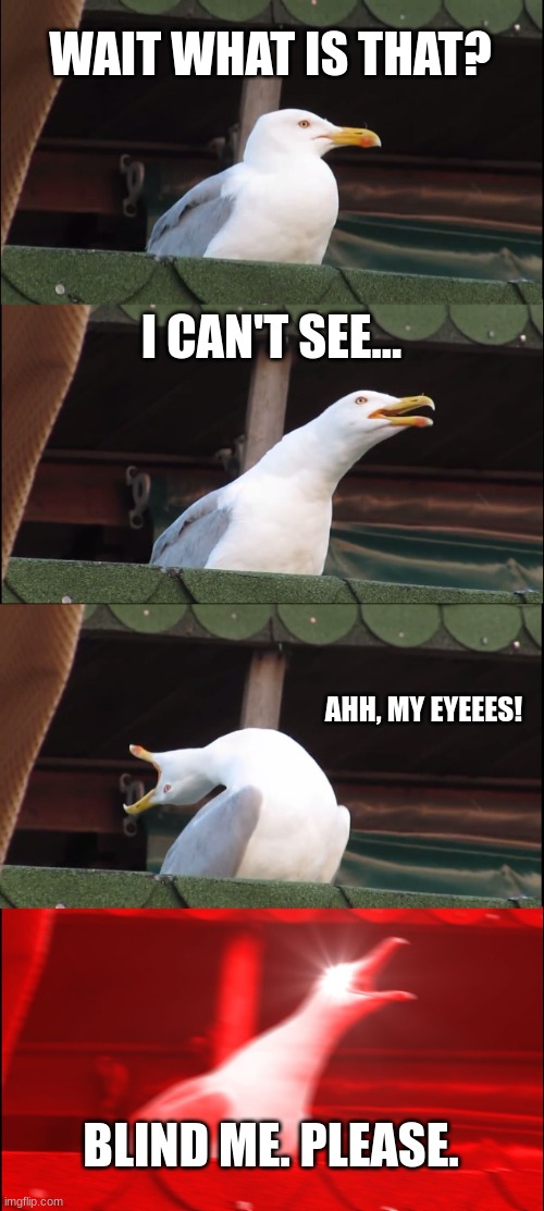 Inhaling Seagull | WAIT WHAT IS THAT? I CAN'T SEE... AHH, MY EYEEES! BLIND ME. PLEASE. | image tagged in memes,inhaling seagull | made w/ Imgflip meme maker
