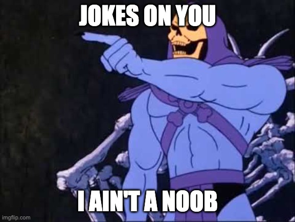 Skeletor | JOKES ON YOU I AIN'T A NOOB | image tagged in skeletor | made w/ Imgflip meme maker