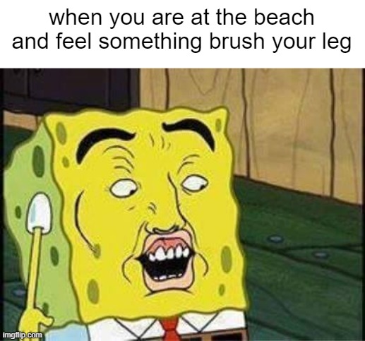 i wonder wat it could be | when you are at the beach and feel something brush your leg | image tagged in sponge bob bruh,tragic,day at the beach,spongebob,dank memes | made w/ Imgflip meme maker
