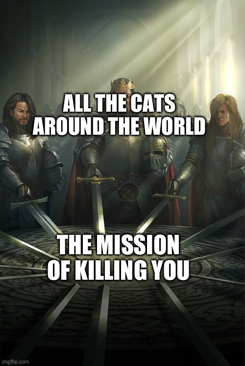 Swords united | ALL THE CATS AROUND THE WORLD THE MISSION OF KILLING YOU | image tagged in swords united | made w/ Imgflip meme maker