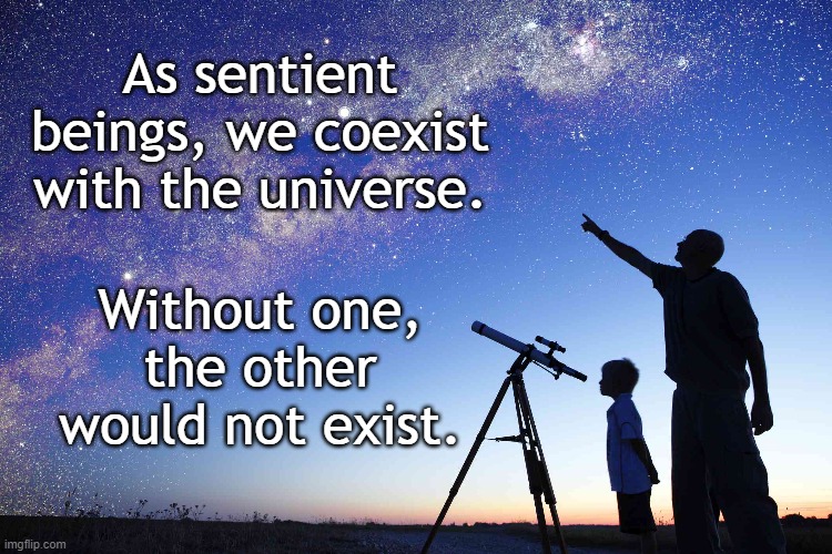 I am, I said. | As sentient beings, we coexist with the universe. Without one, the other would not exist. | image tagged in universe,existence,too damn high | made w/ Imgflip meme maker