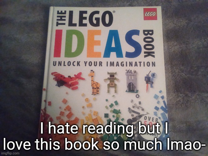 I don't remember when I got this book...or where I got this book from..but all that matters is it's a Lego ideas book | I hate reading but I love this book so much lmao- | image tagged in idk stuff s o u p carck | made w/ Imgflip meme maker