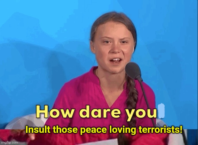 Insult those peace loving terrorists! | image tagged in greta thunberg how dare you | made w/ Imgflip meme maker