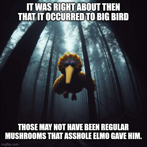 Flying Big Bird | IT WAS RIGHT ABOUT THEN THAT IT OCCURRED TO BIG BIRD; THOSE MAY NOT HAVE BEEN REGULAR MUSHROOMS THAT ASSHOLE ELMO GAVE HIM. | image tagged in flying | made w/ Imgflip meme maker