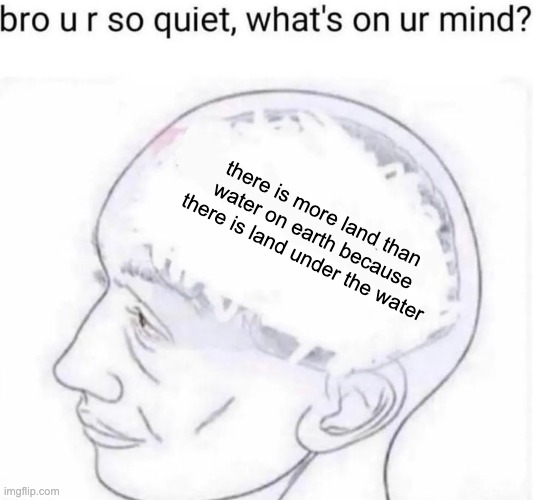 wait | there is more land than water on earth because there is land under the water | image tagged in bro you're so quiet | made w/ Imgflip meme maker