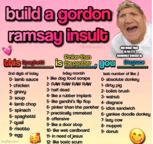Gordon Ramsey insult | IDK WHAT THAT IS SO IT'S RANDOMLY CHOSEN IG; Pinker than the panther; Disgrace; Spaghetti | image tagged in gordon ramsey insult | made w/ Imgflip meme maker