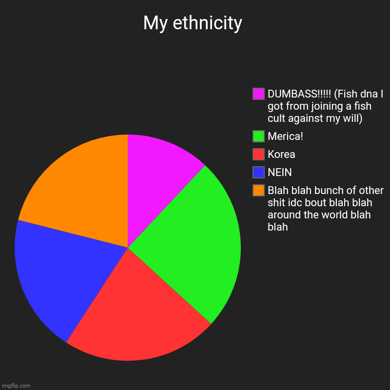 My ethnicity | Blah blah bunch of other shit idc bout blah blah around the world blah blah, NEIN, Korea , Merica!, DUMBASS!!!!! (Fish dna I  | image tagged in charts,pie charts | made w/ Imgflip chart maker