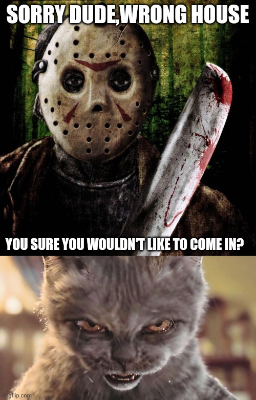 SORRY DUDE,WRONG HOUSE; YOU SURE YOU WOULDN'T LIKE TO COME IN? | image tagged in jason voorhees,evil cat | made w/ Imgflip meme maker