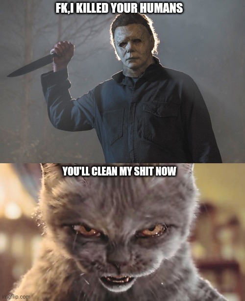 FK,I KILLED YOUR HUMANS; YOU'LL CLEAN MY SHIT NOW | image tagged in michael myers halloween kills,evil cat | made w/ Imgflip meme maker